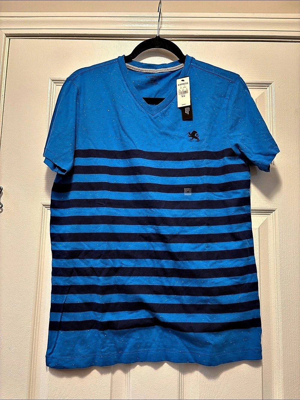 Express Men's Striped V-Neck Tee in Blue & Purple Size Medium NWT
